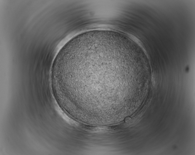 X0000116101482200912071247