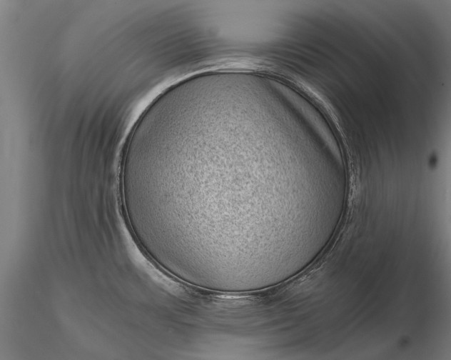 X0000116101483200912071247