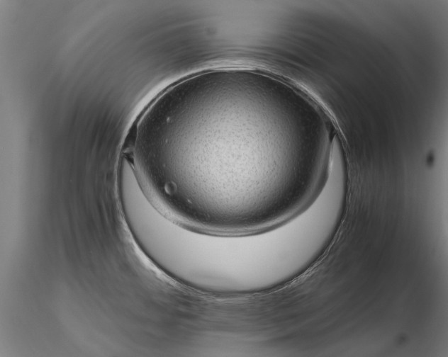 X0000116101484200912071247