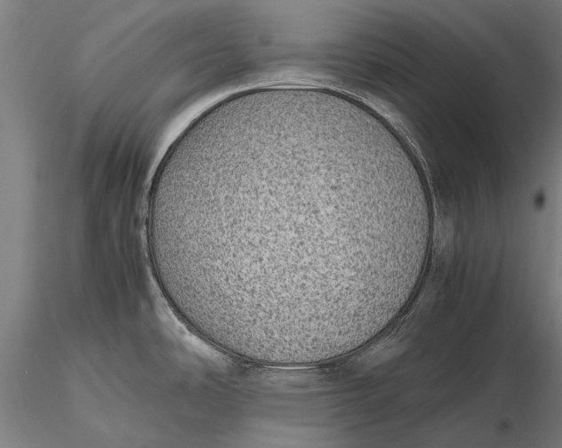 X0000116101486200912071247