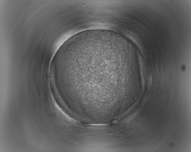 X0000116101487200912071247