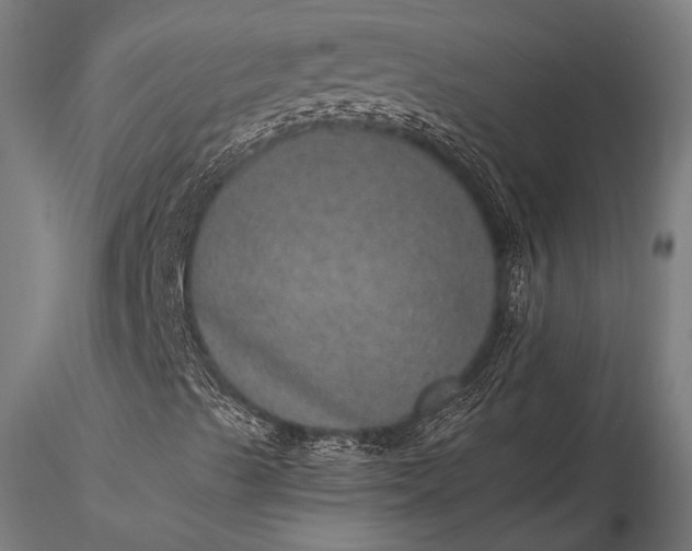 X0000116101489200912071246