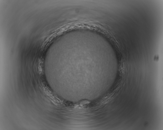 X0000116101490200912071246