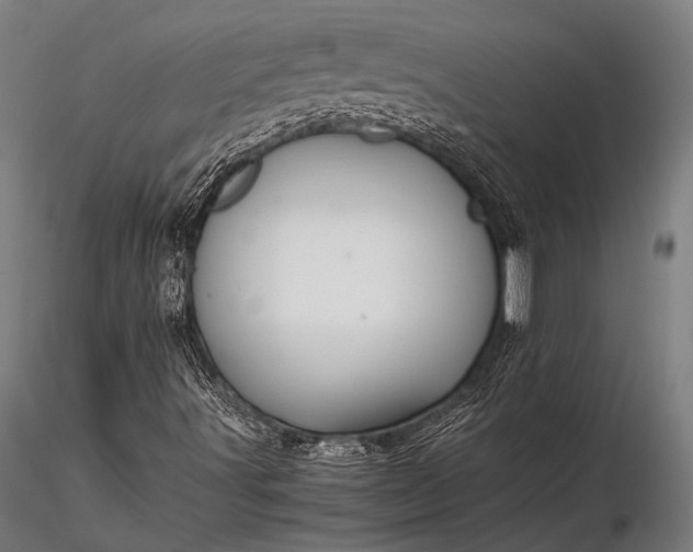 X0000116101491200912071246