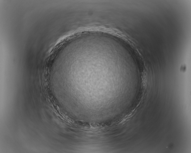 X0000116101494200912071246