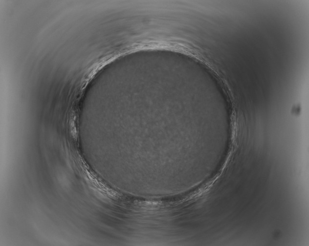 X0000116101497200912071246