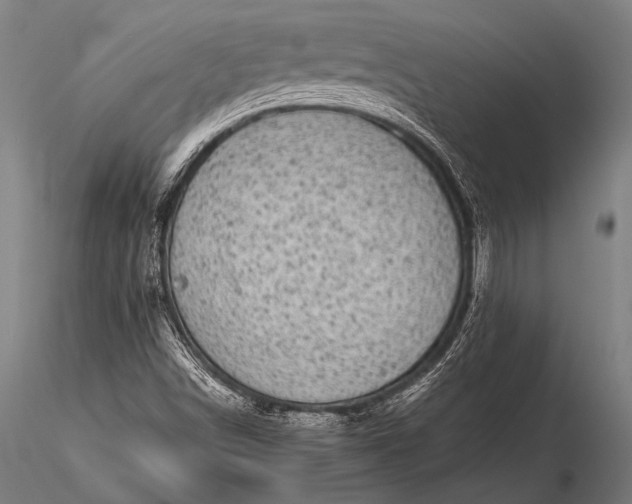 X0000116101498200912071246