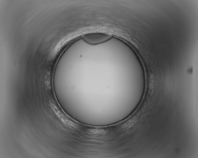 X0000116101499200912071246