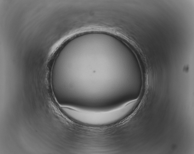 X0000116101502200912071246