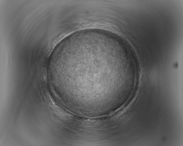 X0000116101505200912071247