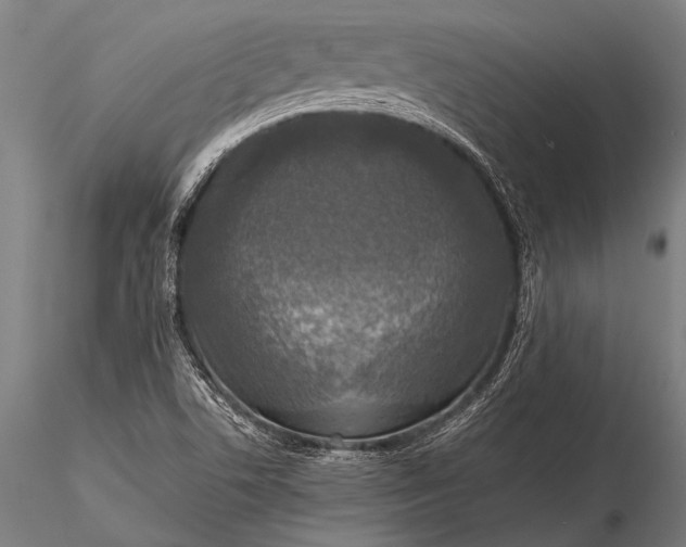 X0000116101506200912071247