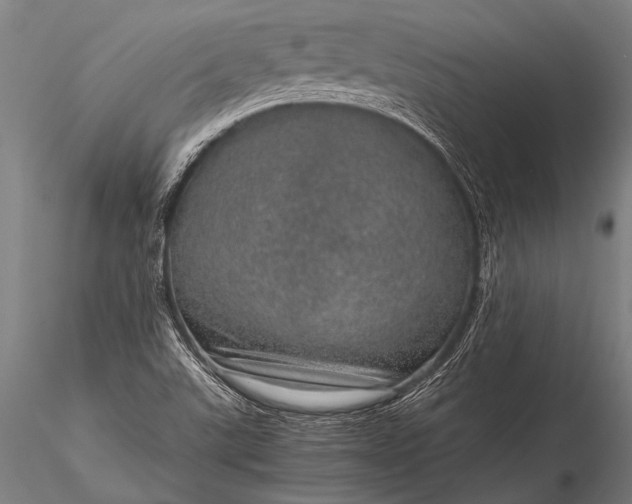 X0000116101507200912071247