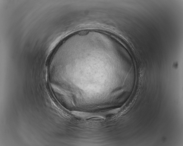 X0000116101509200912071247