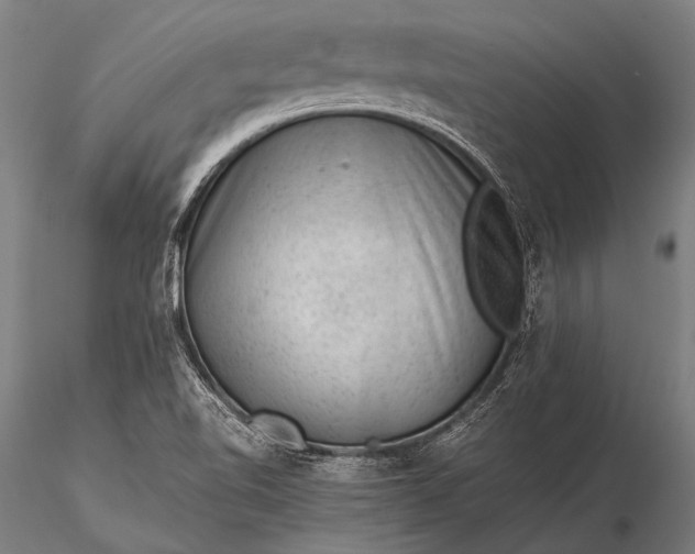 X0000116101510200912071247