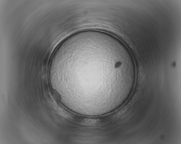 X0000116101513200912071247