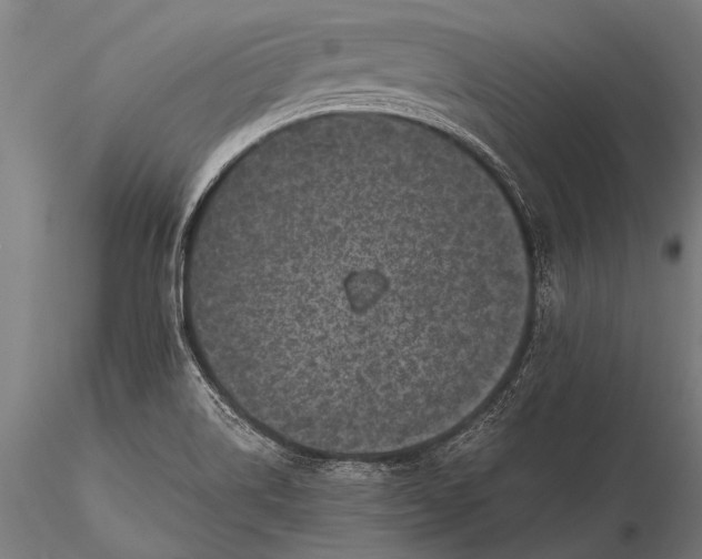 X0000116101514200912071247