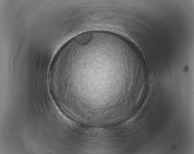 X0000116101517200912071247