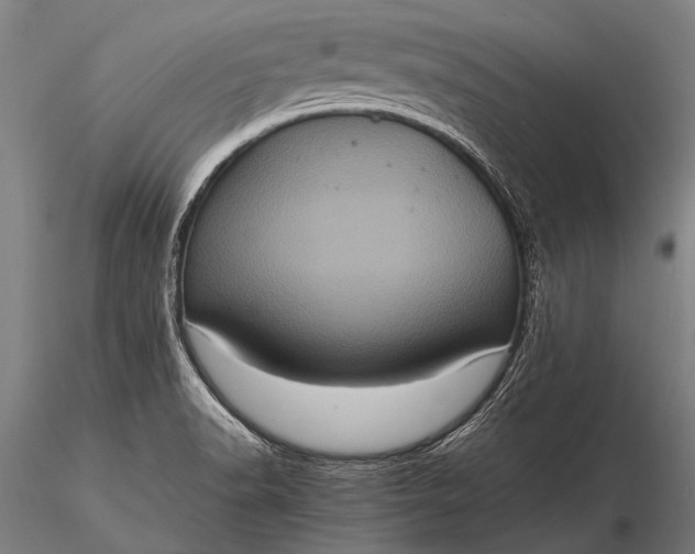 X0000116101518200912071247