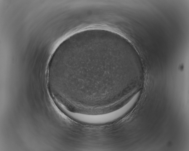 X0000116101519200912071247