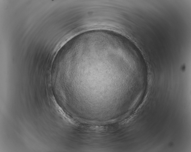 X0000116101521200912071247