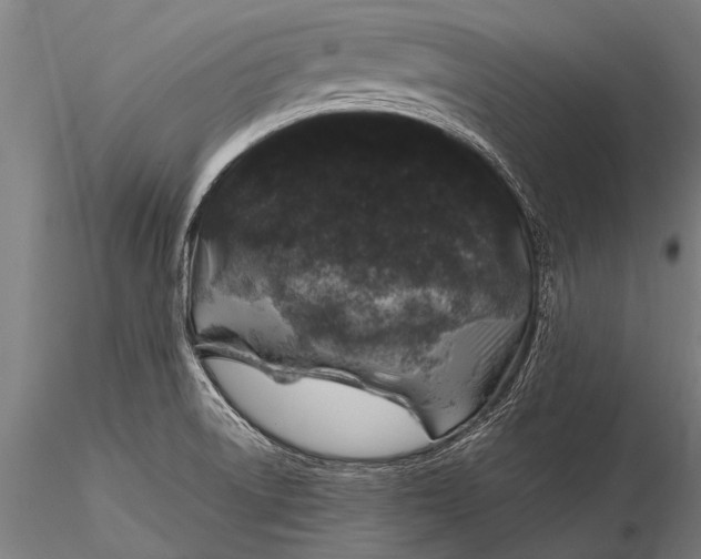 X0000116101522200912071247