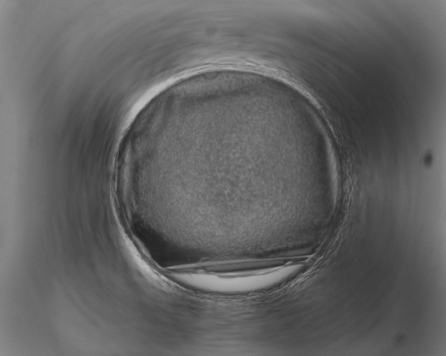 X0000116101523200912071247