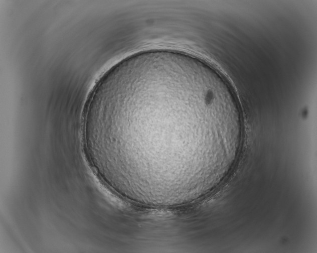 X0000116101525200912071247