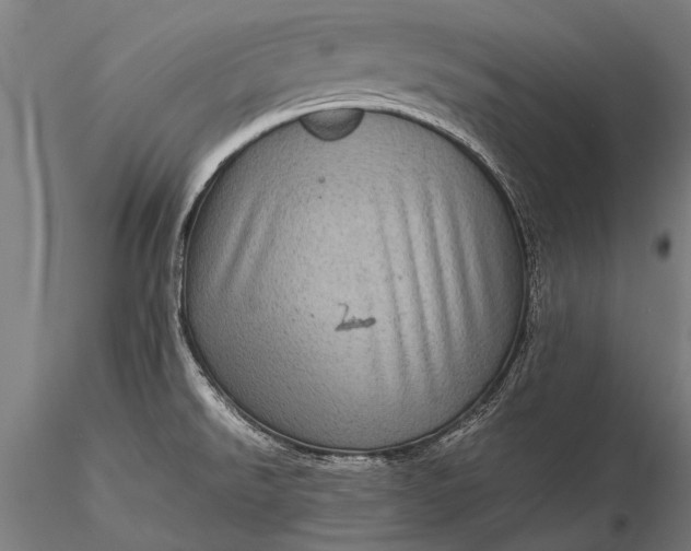 X0000116101526200912071247