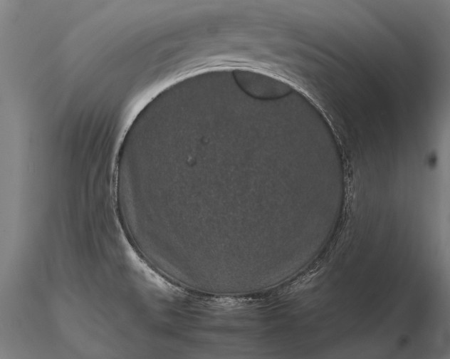 X0000116101527200912071247