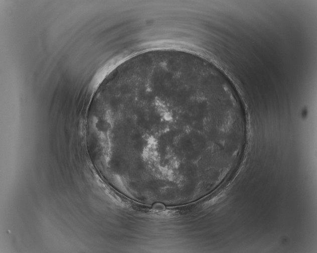 X0000116101529200912071247