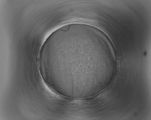 X0000116101531200912071247