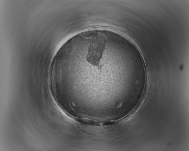 X0000116101533200912071247