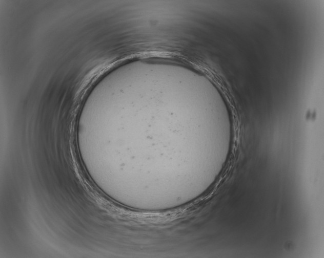 X0000116100001200912141008