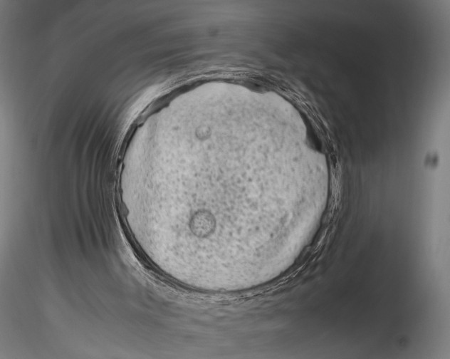 X0000116100003200912141008