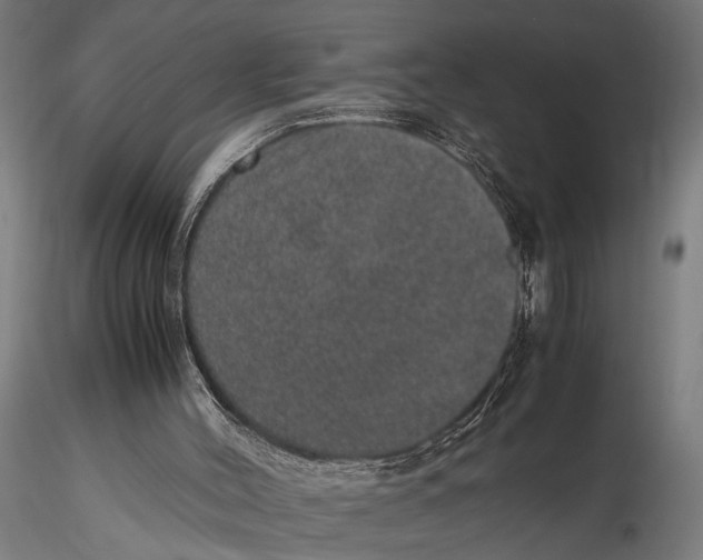 X0000116100004200912141008