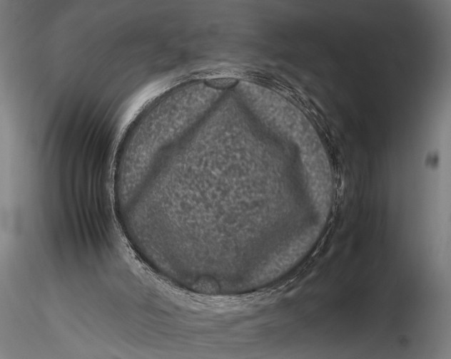 X0000116100006200912141008