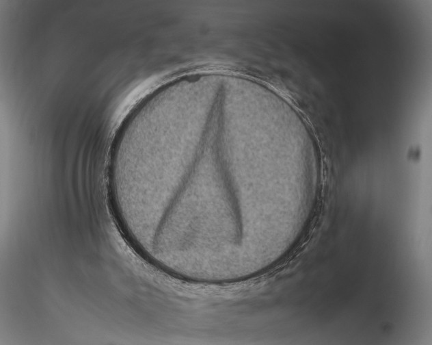 X0000116100007200912141007