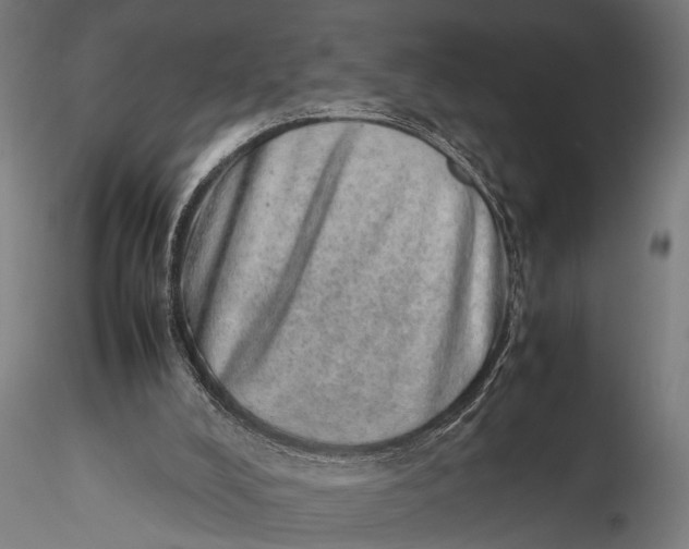 X0000116100008200912141007