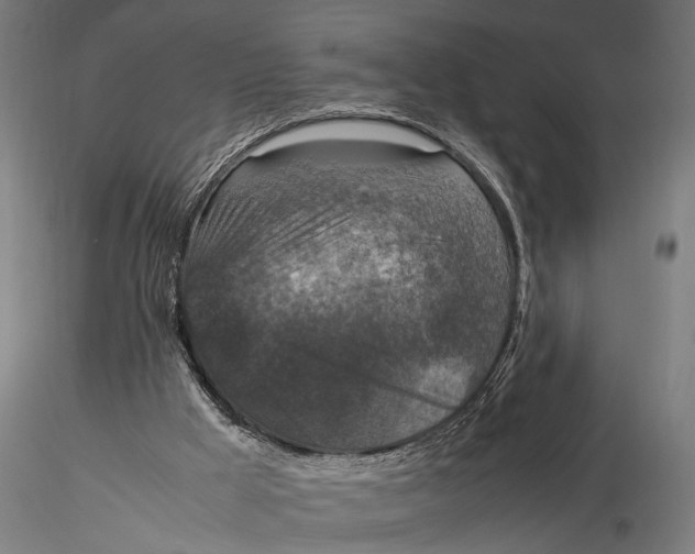 X0000116100009200912141007