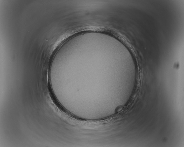 X0000116100011200912141007