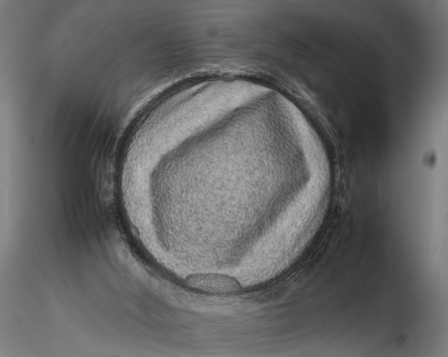 X0000116100012200912141007