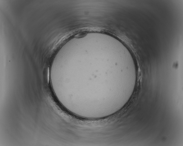 X0000116100013200912141007