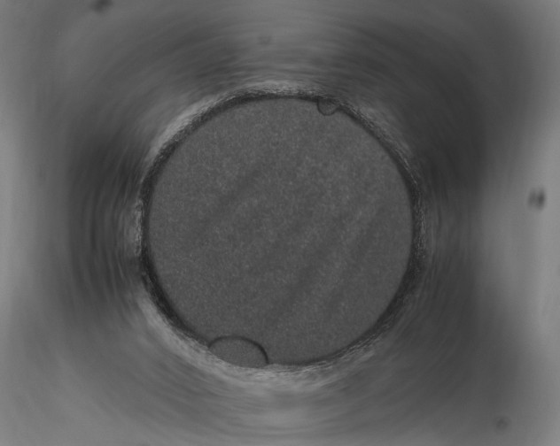 X0000116100016200912141007