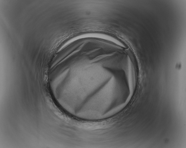 X0000116100017200912141007