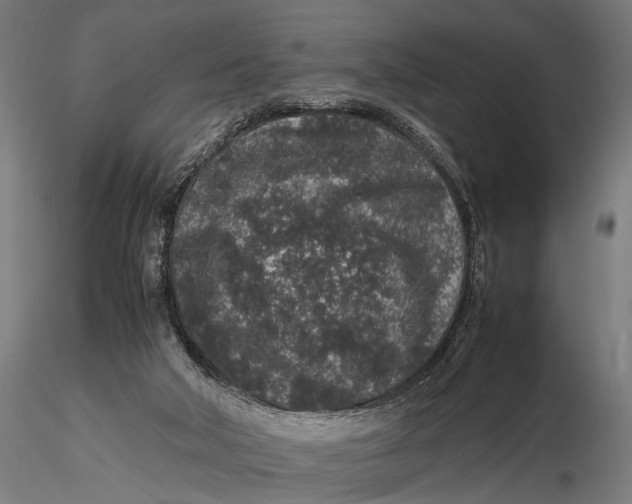 X0000116100018200912141007