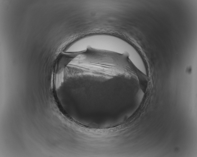 X0000116100019200912141007