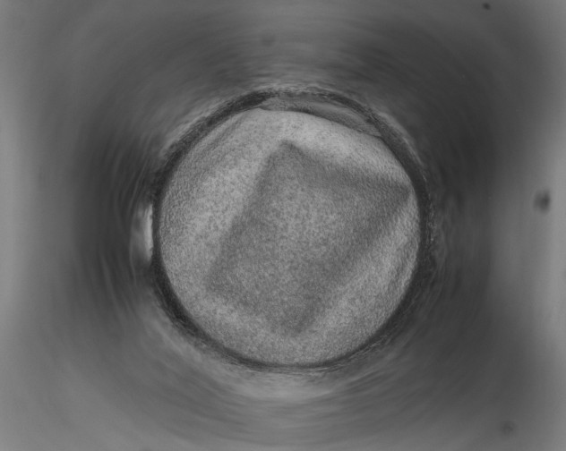 X0000116100020200912141007