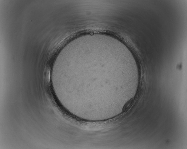 X0000116100021200912141007