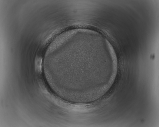 X0000116100024200912141007