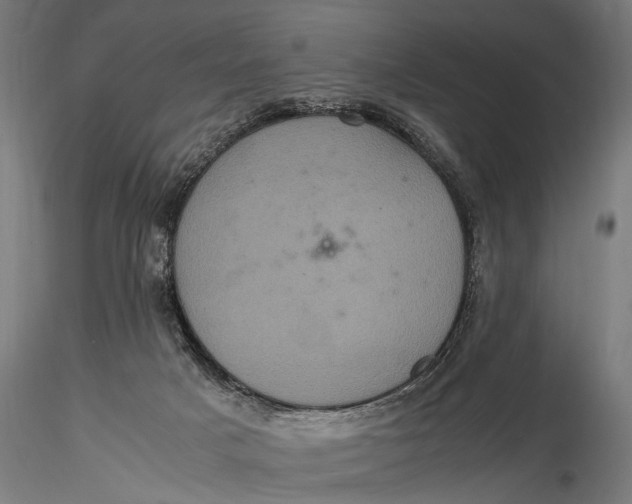 X0000116100025200912141007